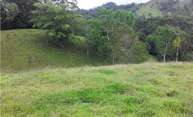 VENTA FINCA LLANO GRANDE