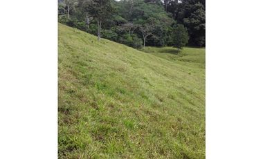 VENTA FINCA LLANO GRANDE