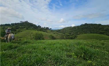 Se vende finca de 126 hectáreas en Metetí, Darién