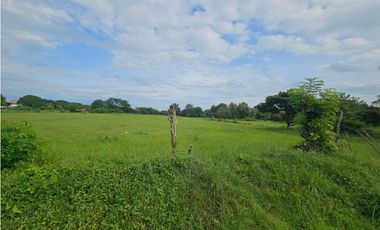 Se vende finca de 2.8 hectáreas en Llano Marin, Penonomé