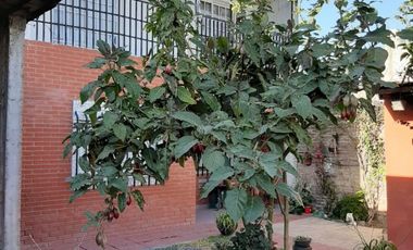 «»Venta 2 viviendas en Rafael Castillo»»
