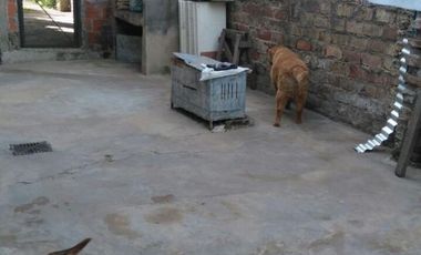 «»Venta 2 viviendas en Rafael Castillo»»