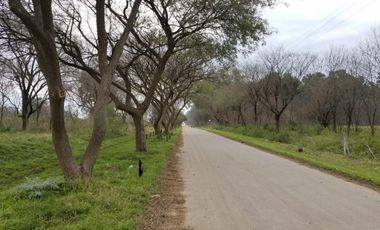 Lote En Venta - La Reja - (ref. 2210)