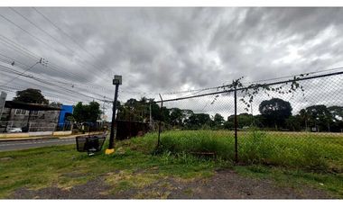 SE ALQUILA O SE VENDE TERRENO EN  PEDREGAL