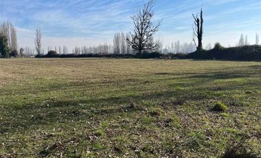 Parcela en venta  en PARRAL