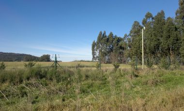 QUNTA 5 HAS.  IDEAL EMPRENDIMIENTO AGRO-INDUSTRIAL.