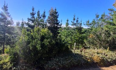 CASA 3 DORMITORIOS,2 BAÑOS,A 15 MINUTOS DE ALGARROBO