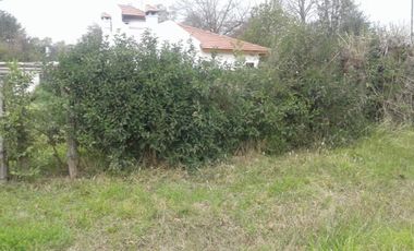 Manzanares centro fracción de 800 mts con casa a reciclar