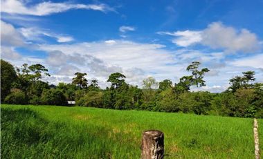 VENDO FINCA DE 116HECTAREAS MECANIZABLES