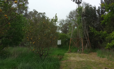VENDO QUINTA EN ORENSE