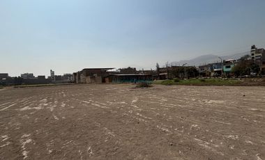 Terrenos Comerciales Venta CAL. Fundo San Bernardo – Tacna - CARABAYLLO