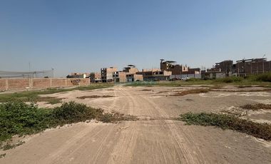 Terrenos Comerciales Venta CAL. Fundo San Bernardo – Tacna - CARABAYLLO