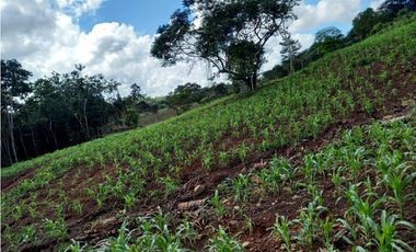 Se Vende hermoso Terreno en la Chorrera, Santa Rita