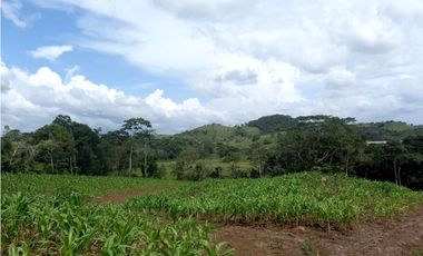 Se Vende hermoso Terreno en la Chorrera, Santa Rita