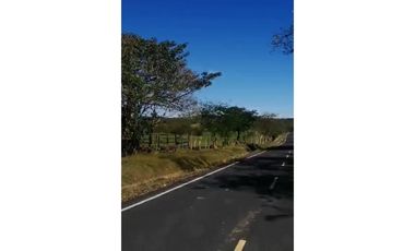 VENDO 800 HECTAREAS EN  SON, PRECIO NEGOCIABLE satiago