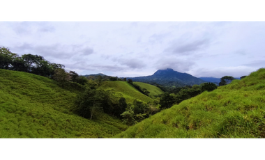 Se Vende Finca de 170 Hectáreas en Capira-Cacao