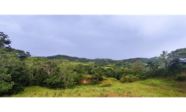 Se Vende Finca de 170 Hectáreas en Capira-Cacao