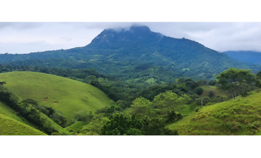 Se Vende Finca de 170 Hectáreas en Capira-Cacao