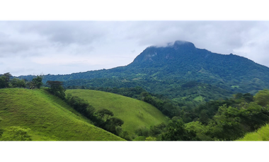 Se Vende Finca de 170 Hectáreas en Capira-Cacao