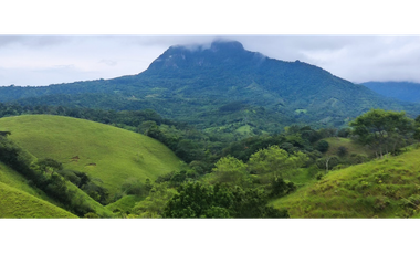 Se Vende Finca de 170 Hectáreas en Capira-Cacao