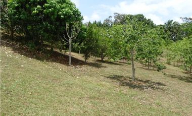 🌿 EN VENTA –  Hacienda Santa Domenica 🌿