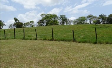 🌿 EN VENTA –  Hacienda Santa Domenica 🌿