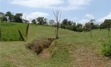 🌿 EN VENTA –  Hacienda Santa Domenica 🌿