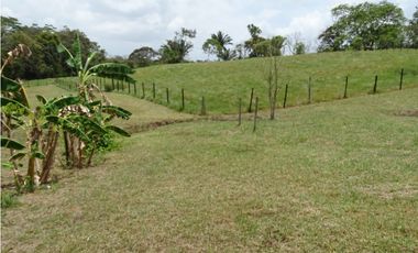 🌿 EN VENTA –  Hacienda Santa Domenica 🌿