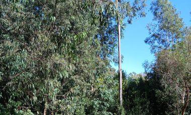 Venta | Terreno con Doble Acceso 920m2 | Guernica | San Vicente