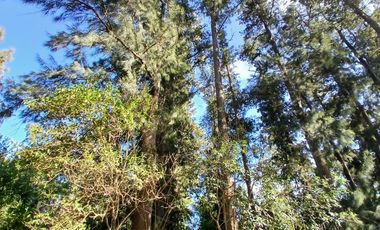 Venta | Terreno con Doble Acceso 920m2 | Guernica | San Vicente