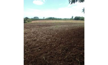 Hermoso terreno ideal para agricultura o ganadería. Prov Los Santos