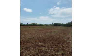 Hermoso terreno ideal para agricultura o ganadería. Prov Los Santos