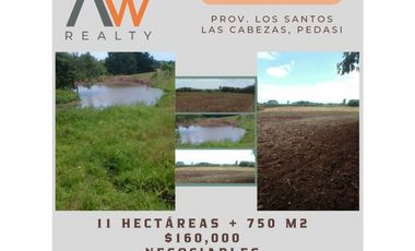Hermoso terreno ideal para agricultura o ganadería. Prov Los Santos