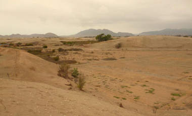 Terreno venta en Pucusana, Lima