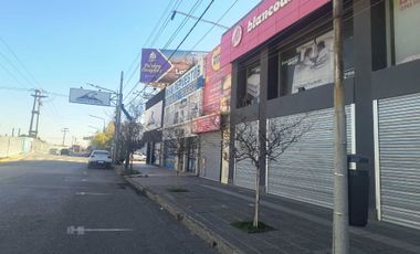 LOCAL COMERCIAL SOBRE AVENIDA MOSCONI