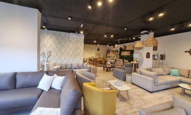 Locales comerciales en España y San Martín - Cipolletti