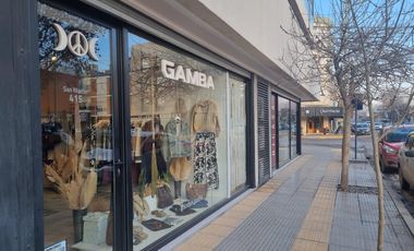 Locales comerciales en España y San Martín - Cipolletti