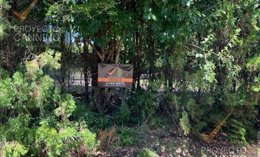 Lote Terreno en venta Los Rosales con Escritura