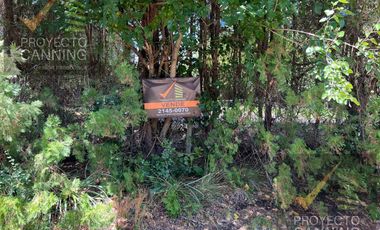 Lote Terreno en venta Los Rosales con Escritura