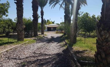 Finca-Rancho en Venta en El Vergel, Gómez Palacio, Durango