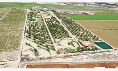 Finca-Rancho en Venta en El Vergel, Gómez Palacio, Durango