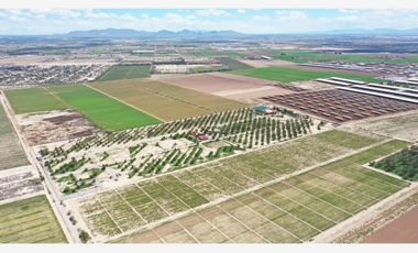 Finca-Rancho en Venta en El Vergel, Gómez Palacio, Durango