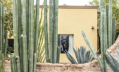 Finca-Rancho en Venta en El Vergel, Gómez Palacio, Durango