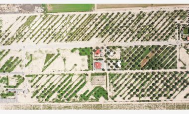 Finca-Rancho en Venta en El Vergel, Gómez Palacio, Durango