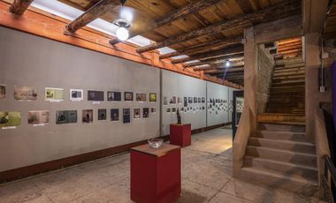 Finca-Rancho en Venta en El Vergel, Gómez Palacio, Durango
