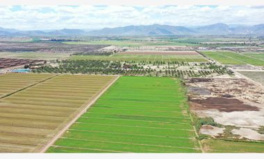 Finca-Rancho en Venta en El Vergel, Gómez Palacio, Durango