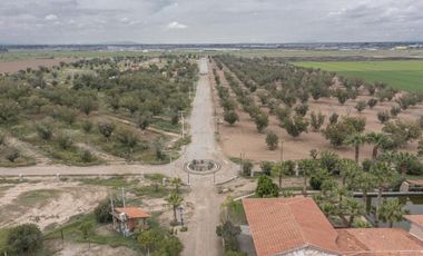 Finca-Rancho en Venta en El Vergel, Gómez Palacio, Durango