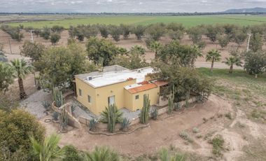 Finca-Rancho en Venta en El Vergel, Gómez Palacio, Durango