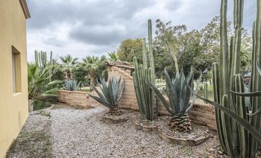 Finca-Rancho en Venta en El Vergel, Gómez Palacio, Durango