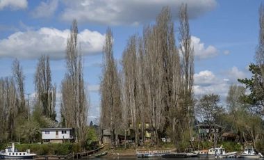 PARCELA URBANIZADA 5000 mt2 A 15 MINUTOS DE OSORNO